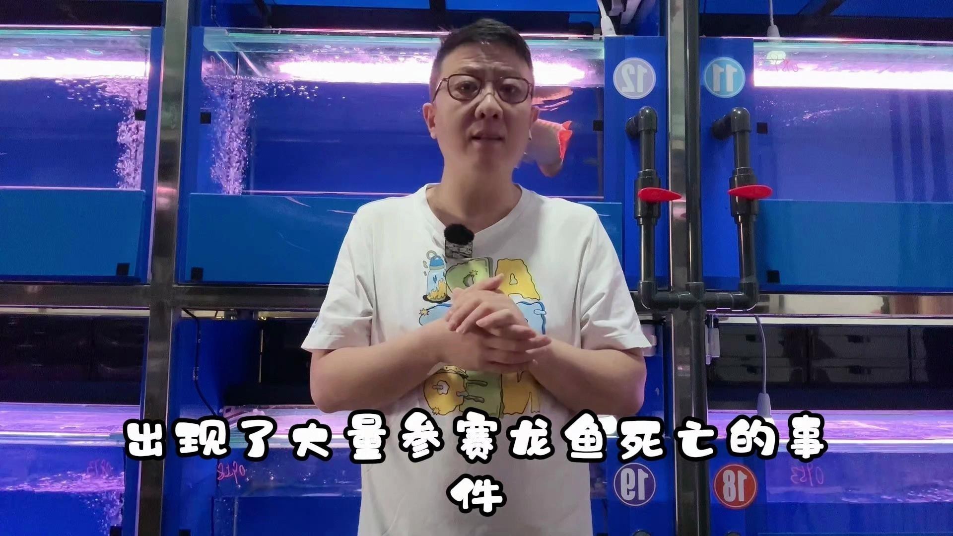 如何降低龍魚養殖的風險？