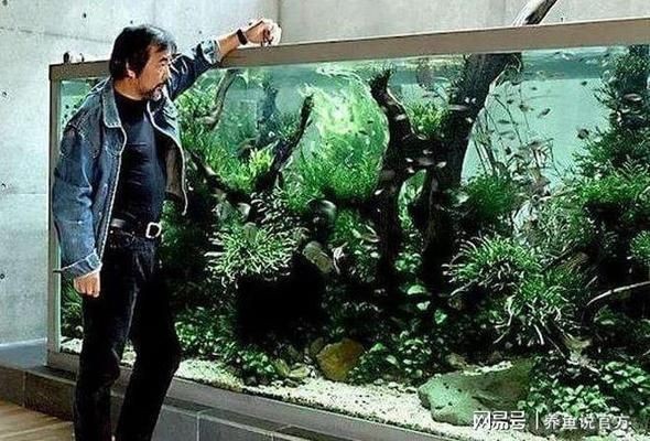 魚缸有不用換水的嗎圖片欣賞，生態魚缸內部結構圖解