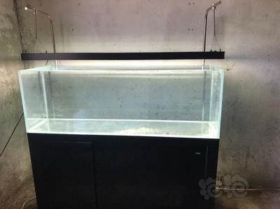 彩蝶魚缸在哪里生產？（彩蝶魚缸在哪里生產）