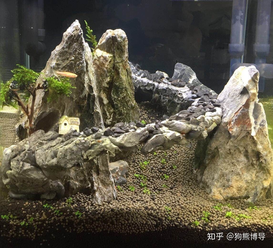 魚缸過濾石頭可以直接放入魚缸里面的問題是否易于清洗：魚缸水質管理的重要性