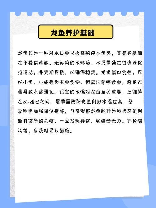 龍魚可以跟錦鯉魚混養嗎圖片