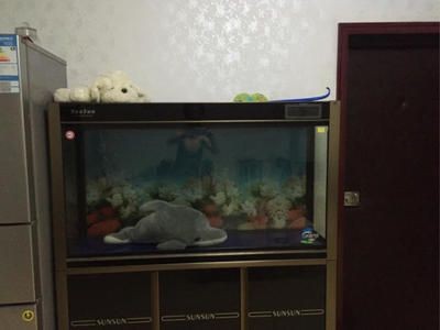出售森森牌二手魚缸(八成新)（森森牌二手魚缸）