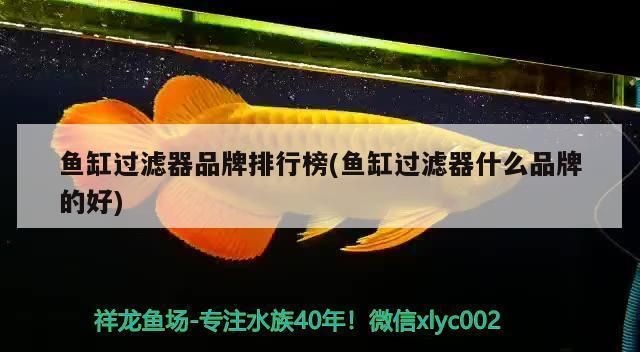 魚缸過濾什么品牌好：森森魚缸過濾器優(yōu)質(zhì)品牌介紹 魚缸過濾什么品牌好：森森魚缸過濾器優(yōu)質(zhì)品牌介紹 魚缸百科 第3張