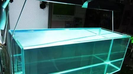 惠州市惠城區(qū)功夫水族館（惠州市惠城區(qū)功夫水族館地址）
