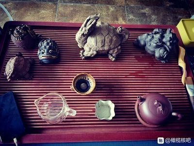 茶寵可以放在魚(yú)缸里嗎為什么：茶寵可以放在魚(yú)缸里嗎