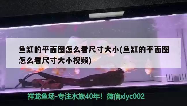 海霸魚缸下過濾分解圖視頻：海霸魚缸下過濾分解圖視頻詳情