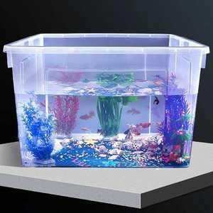 水草缸的魅力探索：如何選擇好養的觀賞魚品種