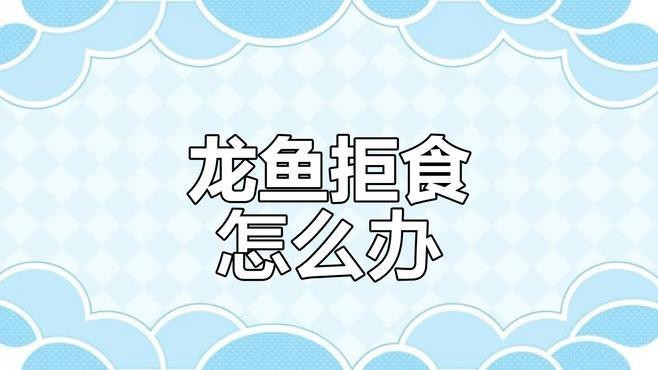 紅龍魚餓了會有什么表現？
