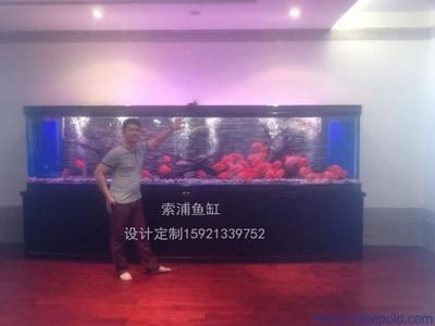滑縣水族養護攻略：河南滑縣道口天王水族魚缸銷售點：水族養護全攻略