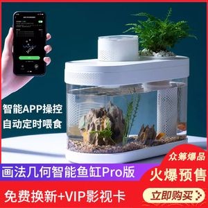 花小魚魚缸app:花小魚魚缸app養(yǎng)護(hù)常見問題解答魚缸養(yǎng)護(hù)常見問題解答 魚缸百科 第5張 花小魚魚缸app:花小魚魚缸app養(yǎng)護(hù)常見問題解答魚缸養(yǎng)護(hù)常見問題解答 花小魚魚缸app:花小魚魚缸app養(yǎng)護(hù)常見問題解答魚缸養(yǎng)護(hù)常見問題解答 魚缸百科 第5張