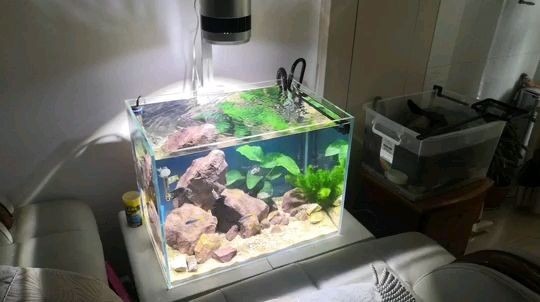 魚缸里的過濾濾材應該多久換一次魚缸里的濾材更換一次：魚缸里的濾材多長時間換一次