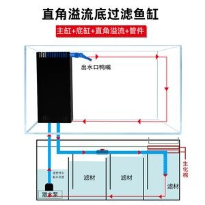 魚缸溢流的常見原因引起魚缸溢流問題的解決方案、解決方案：如何解決魚缸溢流問題