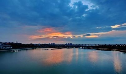 順水族精品魚缸店：廣漢市水族愛好者的聚集地廣漢市水族愛好者的聚集地