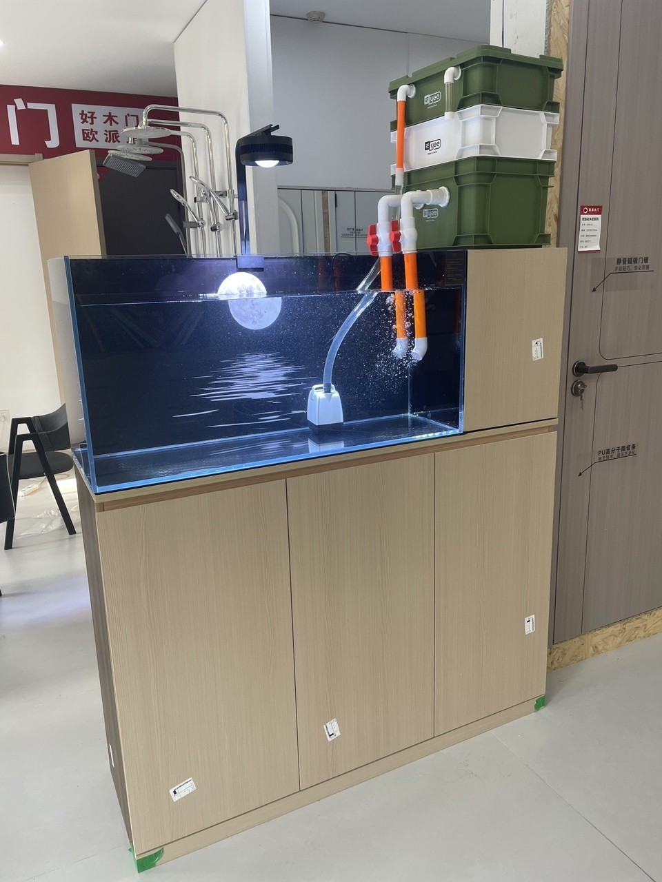 新開的1米魚缸養什么猛魚