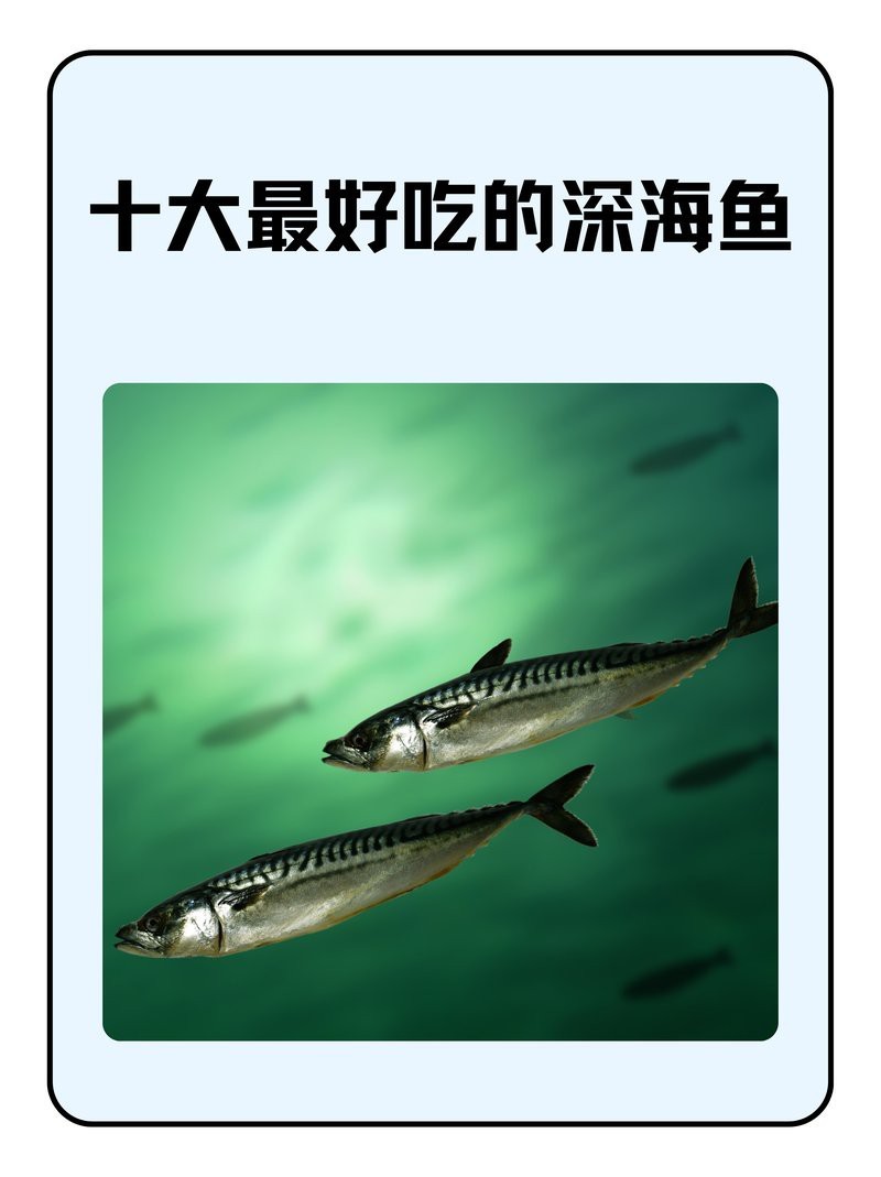 十大必吃海魚