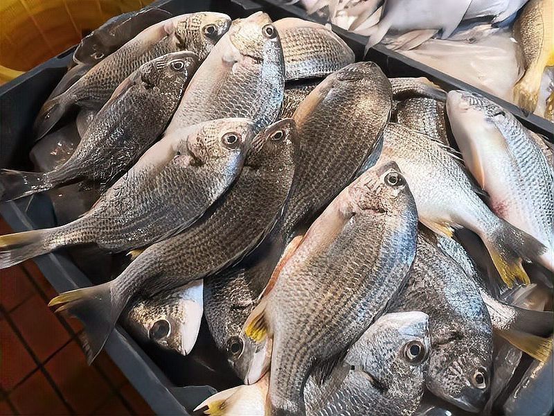 十大必吃海魚