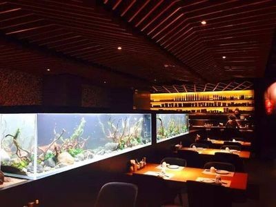 關于魚缸的背景音樂：如何自制魚缸背景音樂