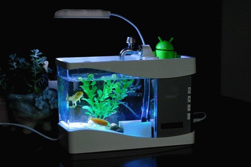 關于魚缸的背景音樂：如何自制魚缸背景音樂