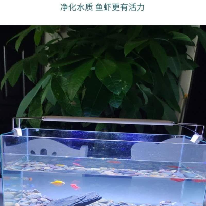 關于魚缸的背景音樂：如何自制魚缸背景音樂
