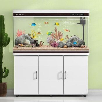 閩江魚缸型號及價格Mj3-R1210ED-9：閩江生產的mj3-r1210ed-9魚缸型號推薦 閩江魚缸型號及價格Mj3-R1210ED-9：閩江生產的mj3-r1210ed-9魚缸型號推薦 魚缸百科 第4張
