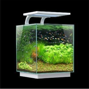 個性化魚缸定制魚缸定制的魅力個性化魚缸定制的魅力：個性化魚缸定制