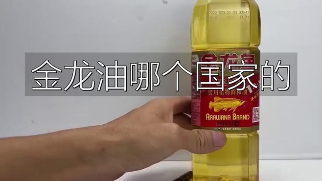 新加坡 金龍魚