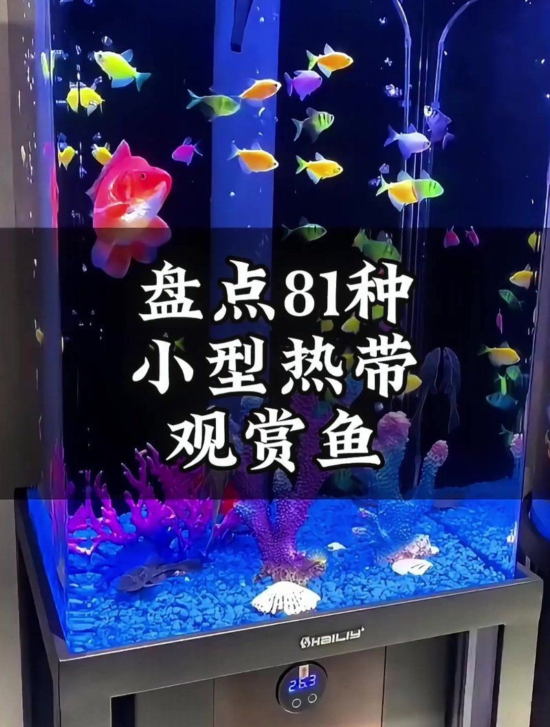 觀賞魚117種圖片名字