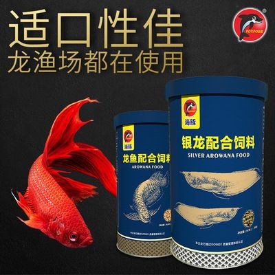 觀賞魚金龍魚價(jià)格，金龍魚市場(chǎng)價(jià)格走勢(shì)