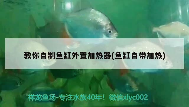 晉江市陳埭鎮同連鮮花店