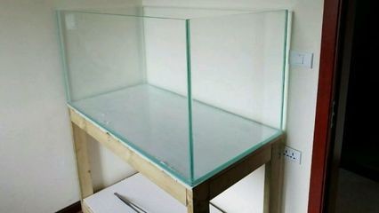 如何選擇魚缸？：養黑魚時，選擇合適的魚缸大小非常重要劑以下是根據搜索結果得出