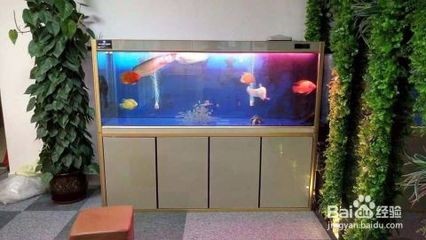 諸暨雨涵水景水族館（諸暨雨涵水景水族館電話）