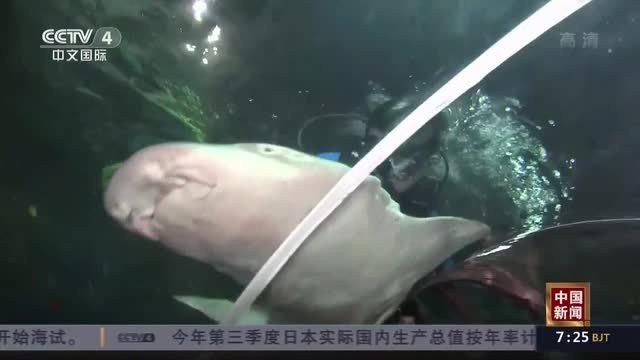 杭州龍魚搬遷最新消息新聞聯播