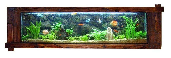魚(yú)缸降溫對(duì)水質(zhì)的影響：魚(yú)缸降溫對(duì)水質(zhì)有影響嗎？
