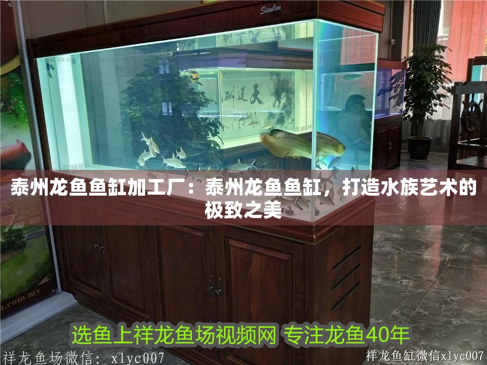 <strong><mark>泰州</mark></strong>龍魚魚缸加工廠：<strong><mark>泰州</mark></strong>龍魚魚缸，打造水族藝術(shù)的極致之美