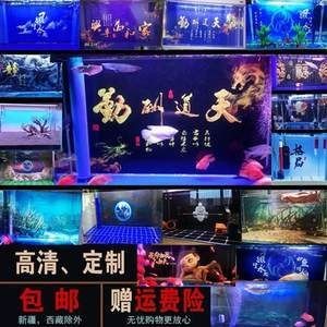 郵寄魚缸運費：郵寄魚缸時產生的運費問題,德邦物流大件運輸優勢 郵寄魚缸運費：郵寄魚缸時產生的運費問題,德邦物流大件運輸優勢 魚缸百科 第5張