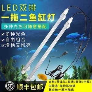 靖宇縣文濤水族館