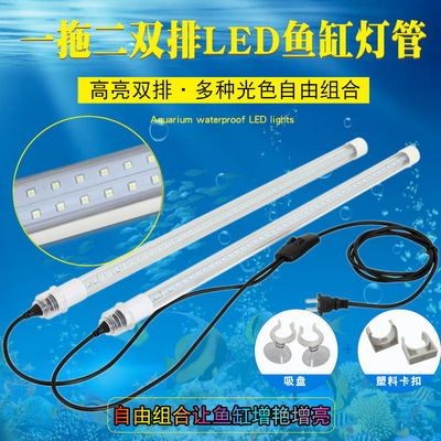 靖宇縣文濤水族館