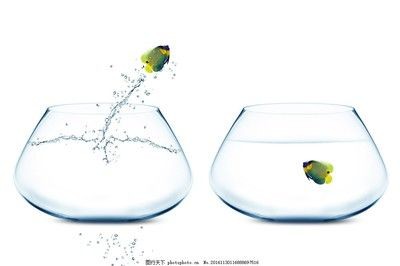 魚缸里的魚總往出蹦是咋回事？：為什么魚缸里的魚總往外蹦