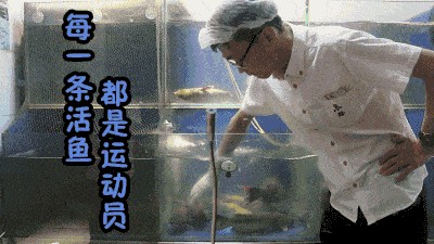 魚缸里的魚總往出蹦是咋回事？：為什么魚缸里的魚總往外蹦
