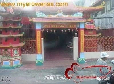 aga龍魚品牌：aga龍魚品牌產(chǎn)品牌介紹