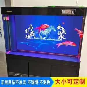 魚缸背景貼怎么貼：魚缸背景貼維護技巧，