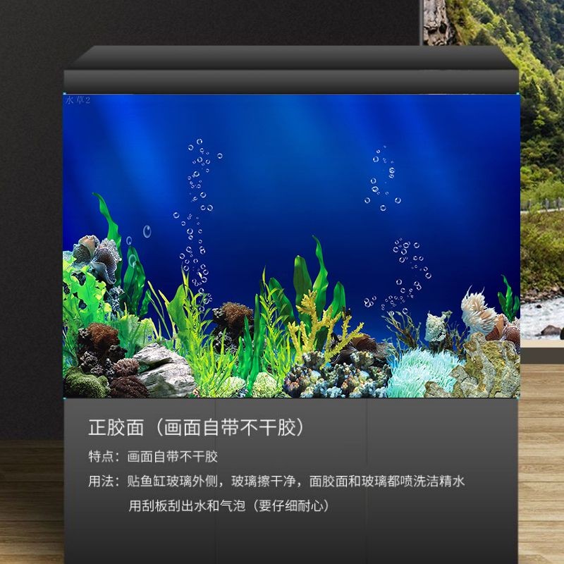 魚缸背景貼怎么貼：魚缸背景貼維護技巧，