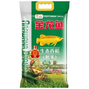 金龍魚稻香米價格走勢（金龍魚稻香米價格走勢分析）