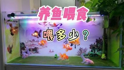 陽泉市城區福鑫源水族館（陽泉市城區福鑫源水族館電話）