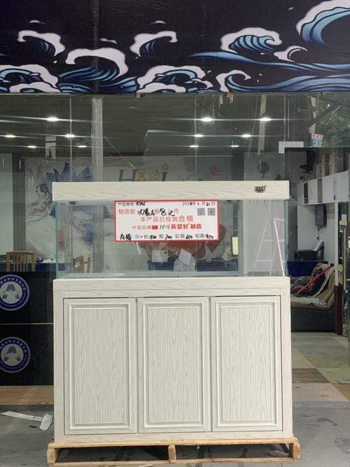 包頭龍魚專賣店