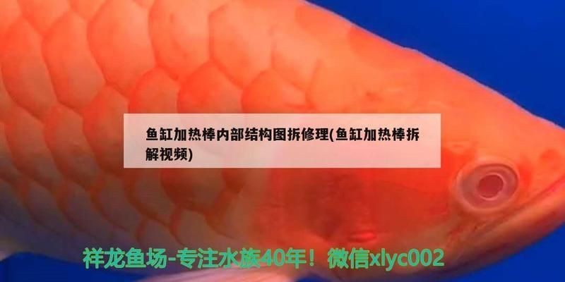 魚缸如何拆開：拆解魚缸需要一定的技術(shù)和經(jīng)驗(yàn),你需要準(zhǔn)備好工具和材料和材料