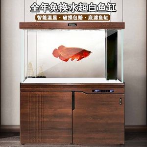黑背景白底的魚缸效果如何？：如何打造一個理想中的魚缸 黑背景白底的魚缸效果如何？：如何打造一個理想中的魚缸 魚缸百科 第1張