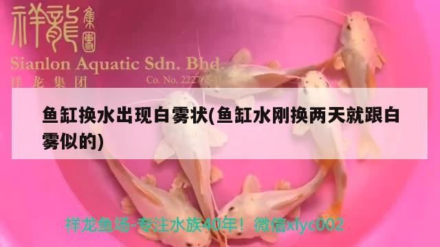 金壇茂盛觀賞魚專業(yè)合作社