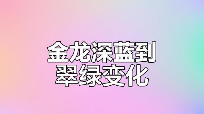 哪里可以購買到純種的藍金龍魚？