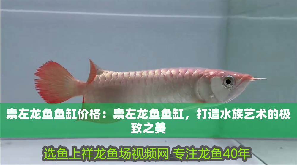 崇左龍魚魚缸價(jià)格：崇左龍魚魚缸，打造水族藝術(shù)的極致之美